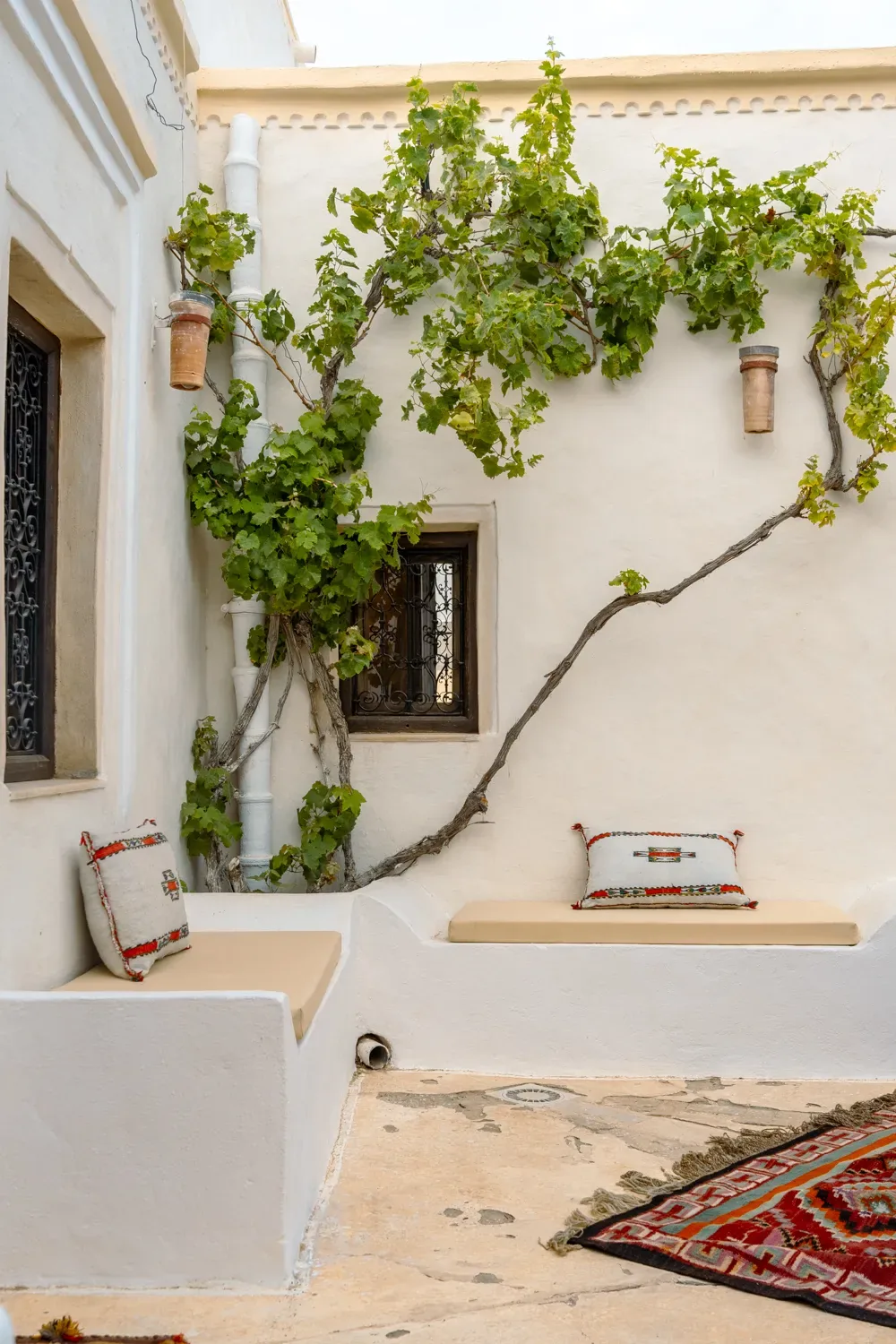 Patio djerbien 2