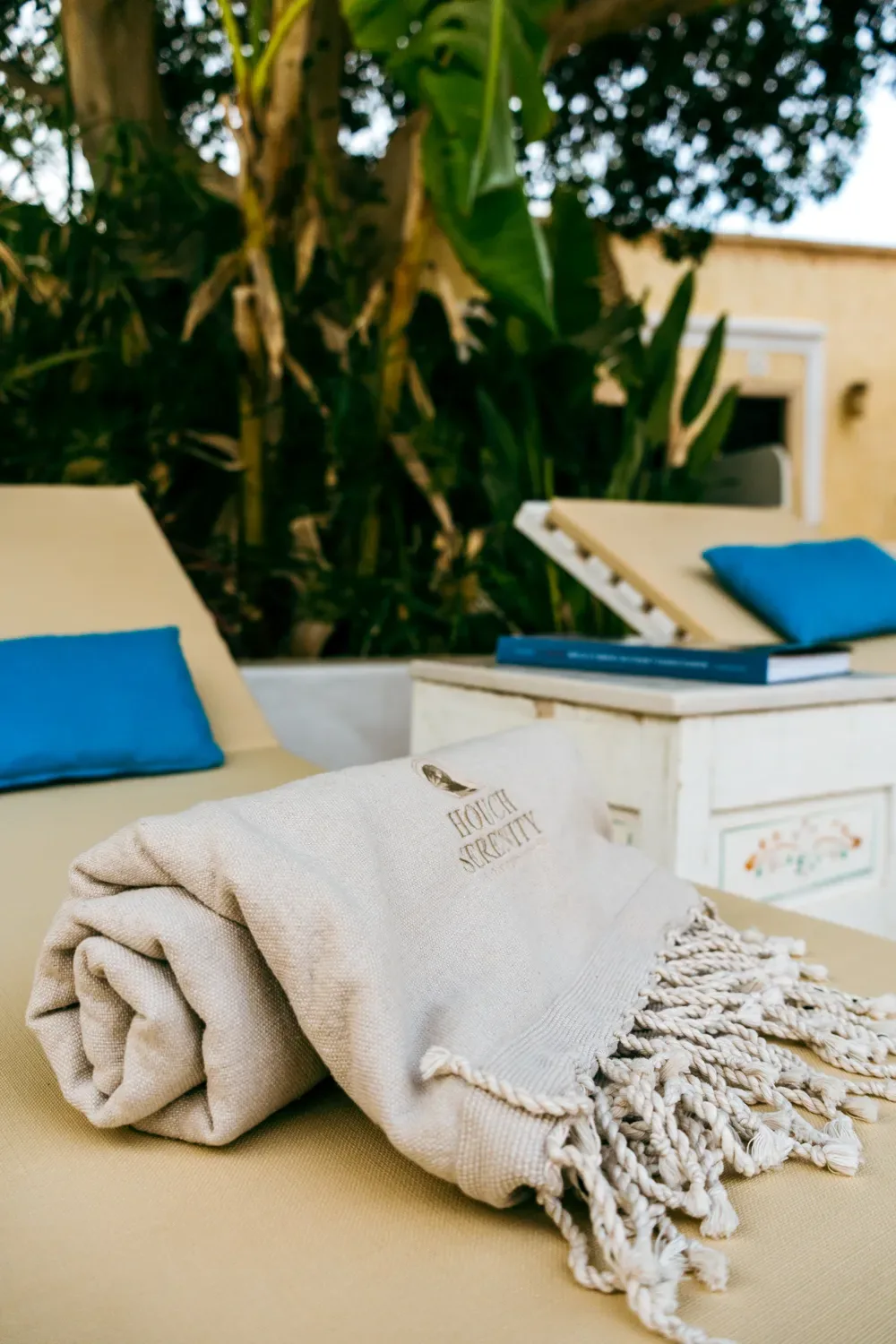 Piscine & terrasse