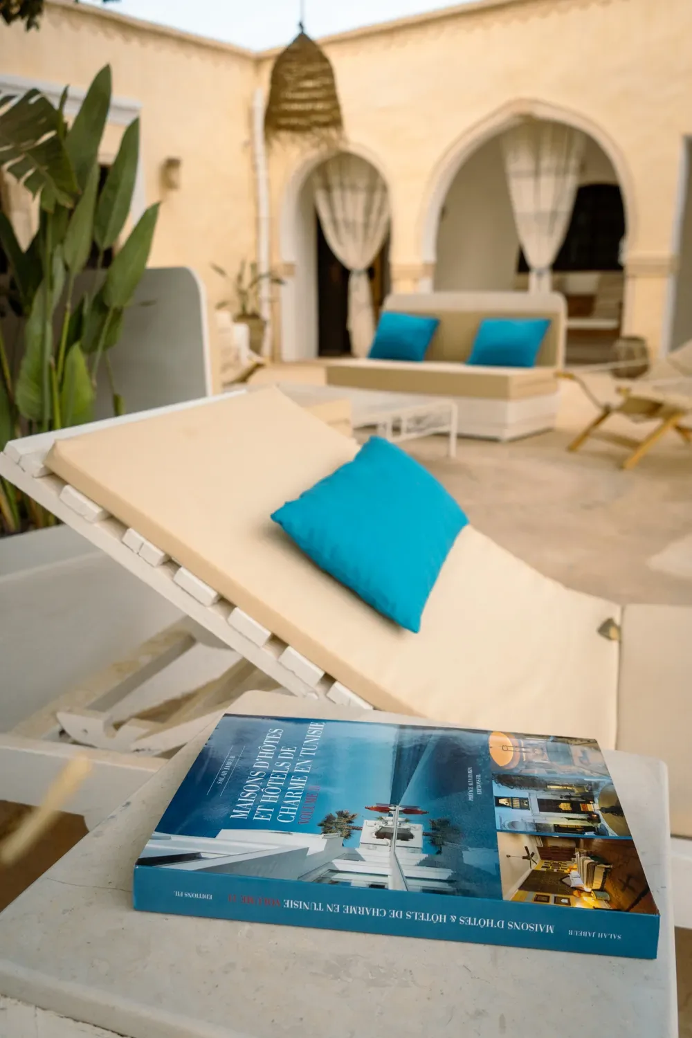 Piscine et terrasse 3
